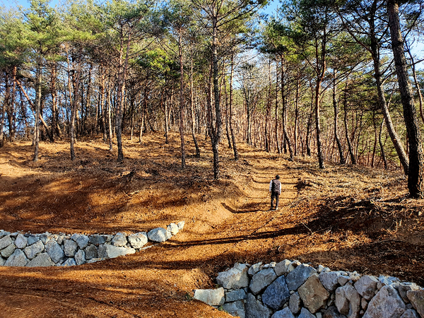 의령군, 응봉산 선도산림경영단지 명품 숲 조성 박차./ⓒ의령군