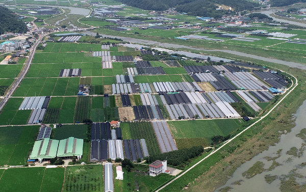 산청군은 2021년도 농업발전기금 융자사업에 55억8000만원을 편성·운용한다.(신안-생비량 국도변에 있는 비닐하우스 단지)/ⓒ산청군