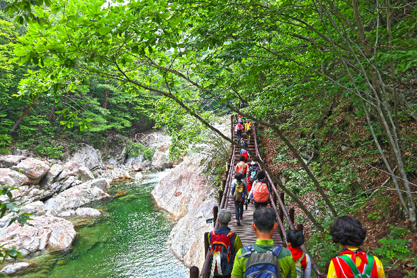 산청군은 산림 내 불법행위 특별단속에 나선다.(2019 지리산 산청 대원사 계곡길 여름 주말)/ⓒ산청군