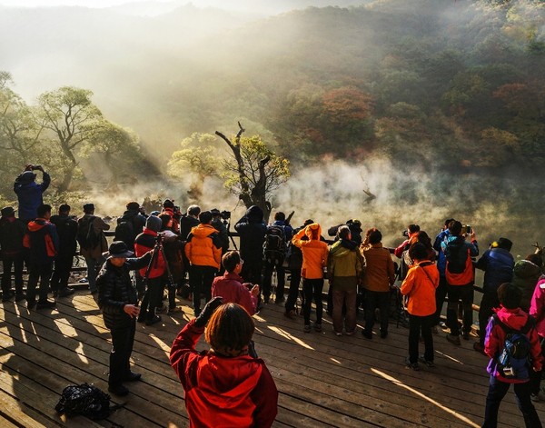 주산지 테마파크/Ⓒ청송군