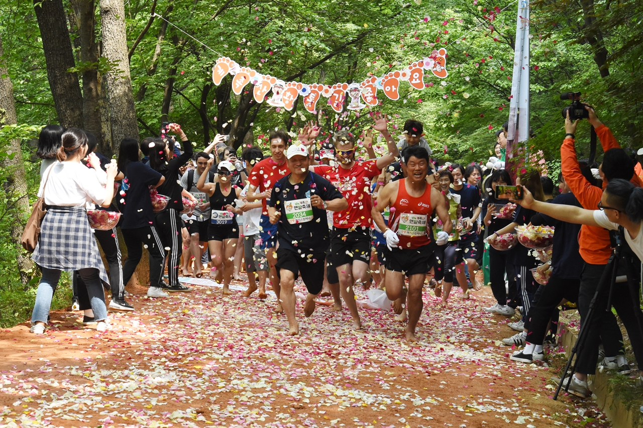 대전시는 대전국제와인페스티벌, 계족산맨발축제, 대전효문화뿌리축제 등 11개 축제를 올해의 시 대표축제로 선정했다. 사진은 계족산맨발축제 모습./ⓒ대전시