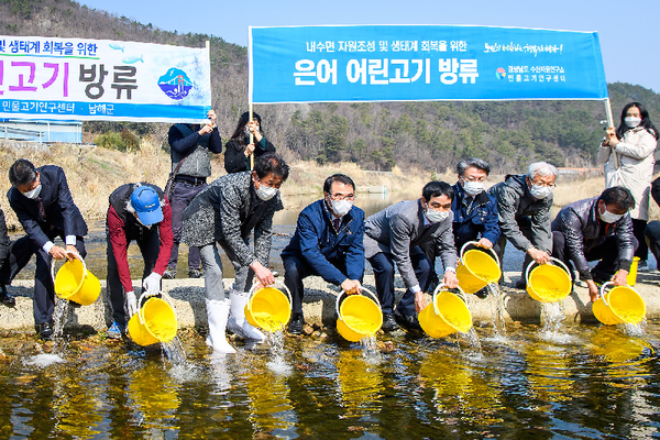 남해군은  민물고기연구센터에서 무상 분양받은 은어 어린고기 3만 마리를 삼동면 화천천에 방류했다./ⓒ남해군