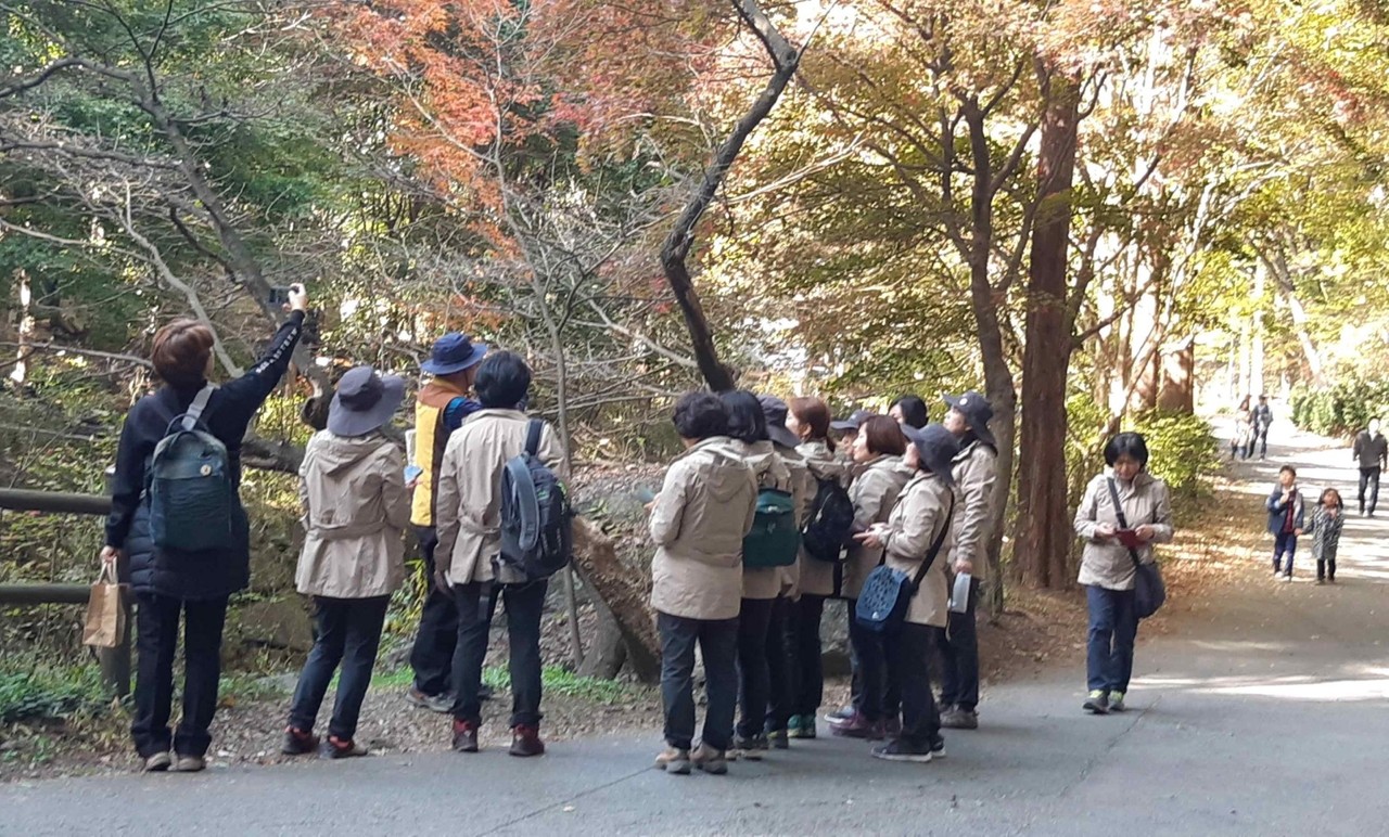 대전시 공원관리사업소는 자연환경이 우수한 만인산자연휴양림과 메타세콰이아 숲으로 유명한 장태산자연휴양림에서 유아ㆍ청소년, 성인을 대상으로 오는 15일부터 숲해설과 유아 숲교육을 무료로 운영한다./ⓒ대전시