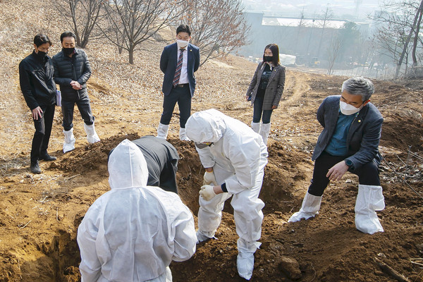 지난 11일 봉담읍과 동탄에 위치한 야생동물 멧돼지 사체 처리 현장을 관계부서인 수질관리과(이하 관계부서)와 함께 방문해 확인했다./ⓒ화성시의회