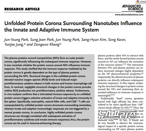 혈액 내 면역반응 유발 단백질을 나노입자에 부착하면 단백질의 구조가 심하게 뒤틀리고 면역반응이 활성화가 된다는 것을 규명한 가천대 강동우 교수팀 연구는 국제학술지 어드밴스드 사이언스(Advanced Science)에 3월 1일 게재됐다./ⓒ 어드밴스드 사이언스·가천대 강동우 교수팀