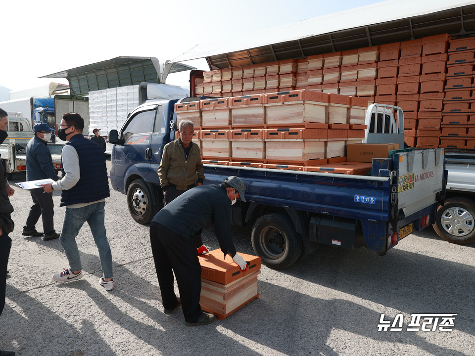 양봉산업 추진모습.(사진제공=영월군)