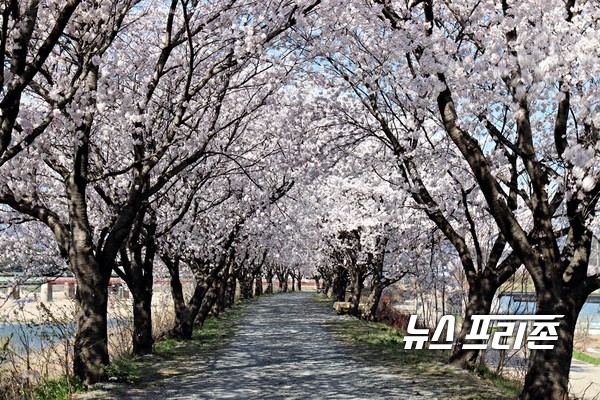 밀양 영남루 수변공원길.경남도