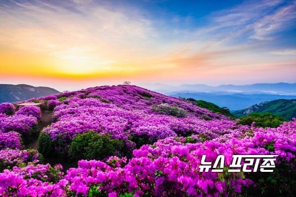 산청 합천의 황매산.경남도