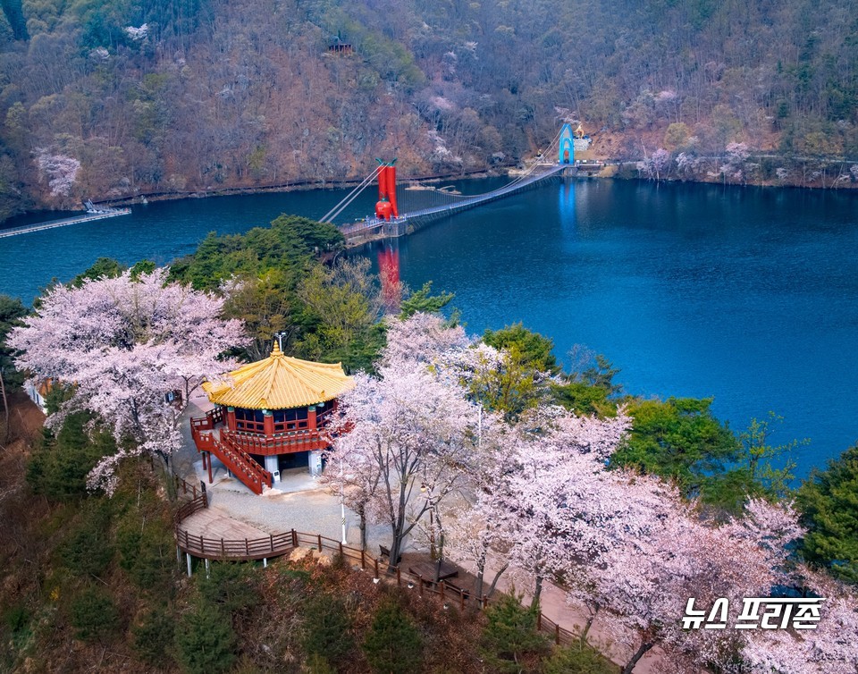 천장호 출렁다리.Ⓒ청양군청