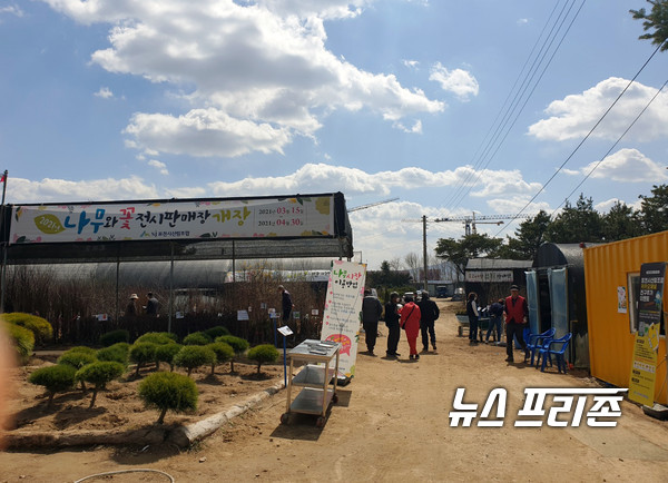 신읍동 43번국도 변에 위치한 포천시산림조합 직영 '꽃과 나무 판매전시장'에 점심식사를 마친 상춘객들이 전시장을 둘러보고 있다./Ⓒ이건구기자/