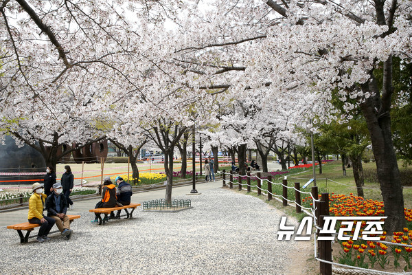 연지공원의꽃이 활짝 펴 시민들이 봄을 만끽하고 있다.ⓒ김해시