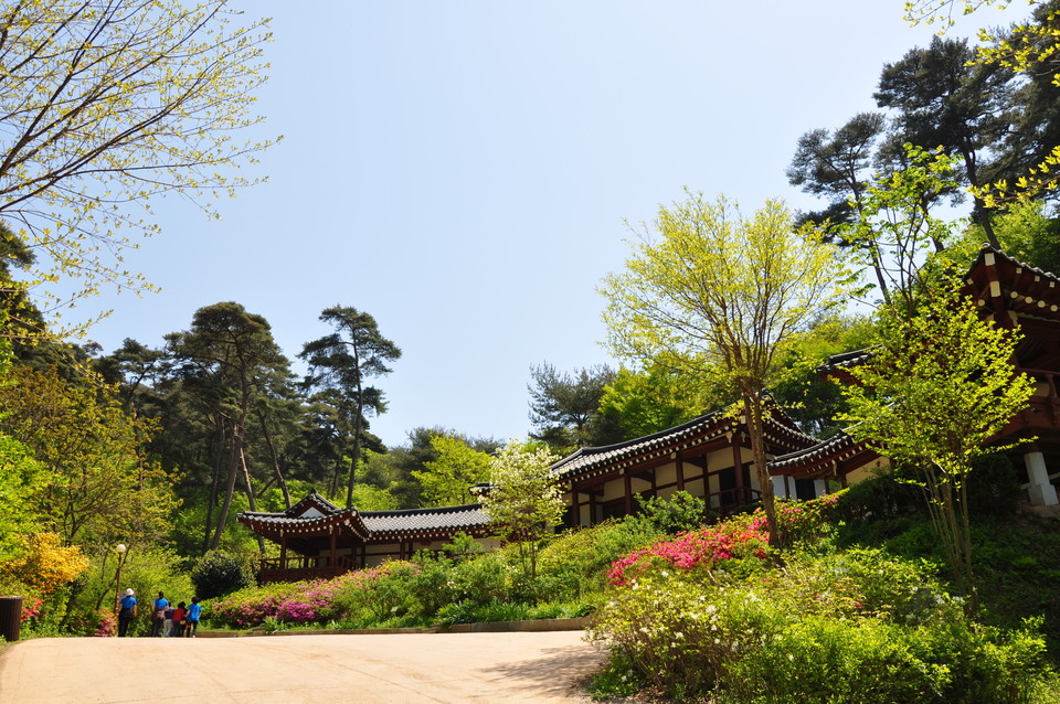 안면도자연휴양림 한옥동 전경./ⓒ충남도청