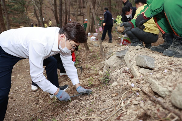 김철우 보성군수와 공직자들이 해평호수 십리길(4km)에 감국 1만본 식재에 나섰다./ⓒ보성군