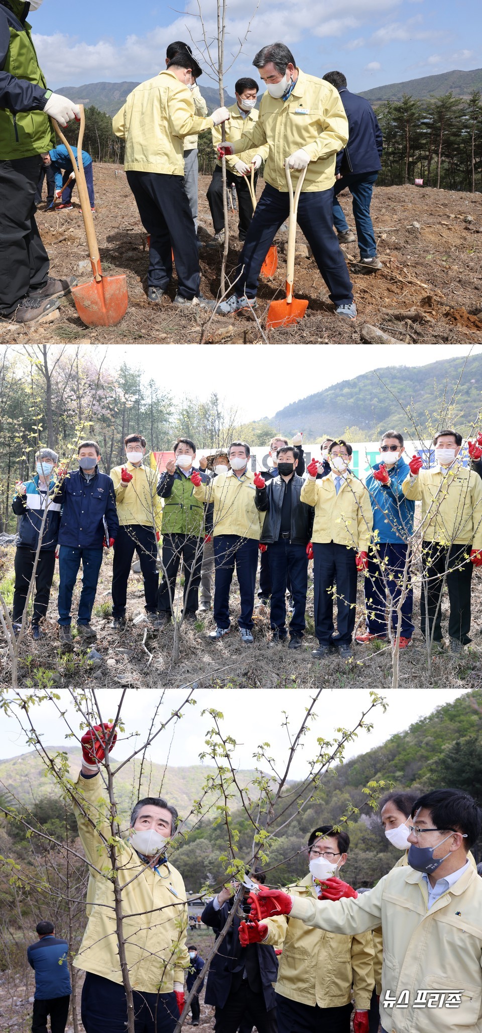 [보령=뉴스프리존]이진영 기자= 충남 보령시는 13일 웅천읍과 성주면 도유림에서 양승조 충청남도지사와 김동일 보령시장 등 관계자가 참석한 가운데 제76회 식목일 기념 도유림 조림지 점검을 실시했다.이날 행사는 웅천읍 대천리 산1번지 도유림에 산딸기, 산수유, 산사나무 등을 식재하고, 2019년에 조성한 성주면 밀원수 시범단지 내 조림목 가지치기의 나무 상태를 점검했다.⒞보령시청