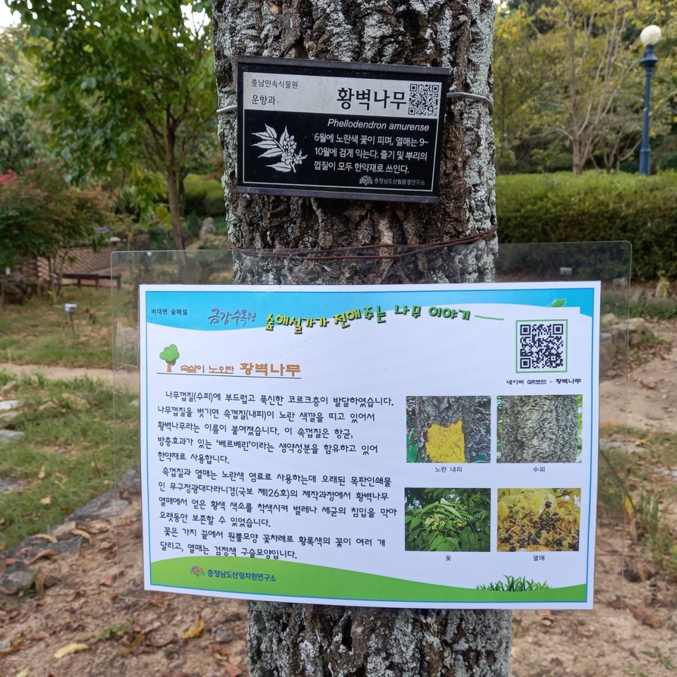 충남도 산림자원연구소는 16일 금강수목원 내 감염병 확산 요소를 차단코자 숲해설 프로그램을 대면과 병행해 비대면으로도 운영 중이라고 밝혔다./ⓒ충남도청