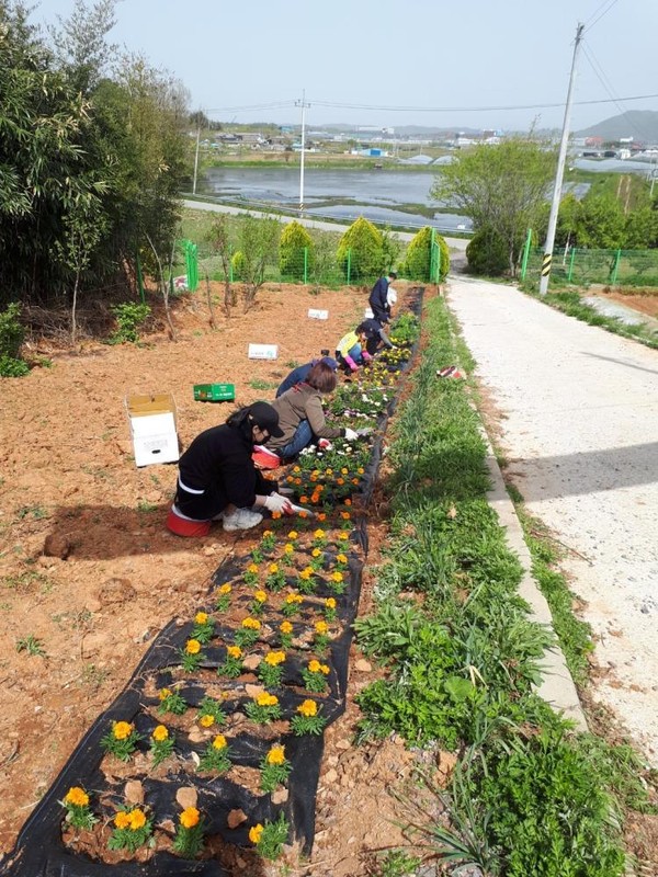 광주광역시 광산구 하산동 2,000여평의 부지에 형성 된 텃밭 체험 농장