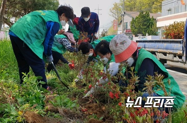 전동면 새마을협의회는 생활 속 ‘탄소제로화’ 실현을 위해  전동역 일대에 연산홍 300주를 심었다./ⓒ전동면