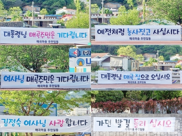 현재 대통령 사저가 있는 덕계동 매곡마을 주민들이 '대통령 사저 환영' 현수막을 마을 곳곳에 내걸면서,  하북면의 사저 반대 현수막에 '맞불'을 놓았다. 사진/양산시민신문