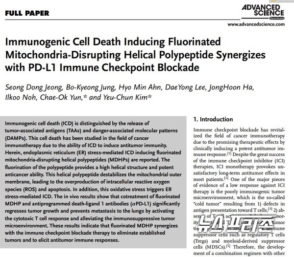 암 치료에 이용되는 면역항암제인 면역관문억제제와 협력 효과를 내는 펩타이드 기반의 면역원성 세포사멸 유도체를 개발한 카이스트 김유천 교수팀 등 국내연구는  국제학술지 어드밴스드 사이언스(Advanced Science)에 4월 7일 게재됐다./ⓒ어드밴스드 사이언스·카이스트 김유천 교수팀