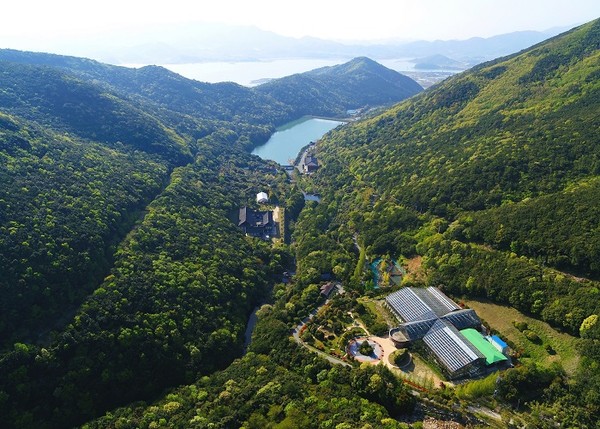 전남도, 5월 명품 숲 ‘완도수목원 난대숲’ 선정/Ⓒ전남도청 제공