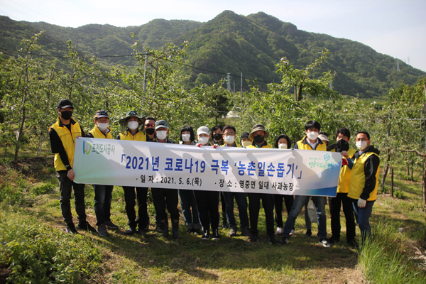 포천도시공사 임직원들이 1사 1촌 봉사활동의 일환으로 영중면 성동리 소재 사과 농가인 청농원에서 농촌 봉사활동을 펼쳤다./Ⓒ포천도시공사