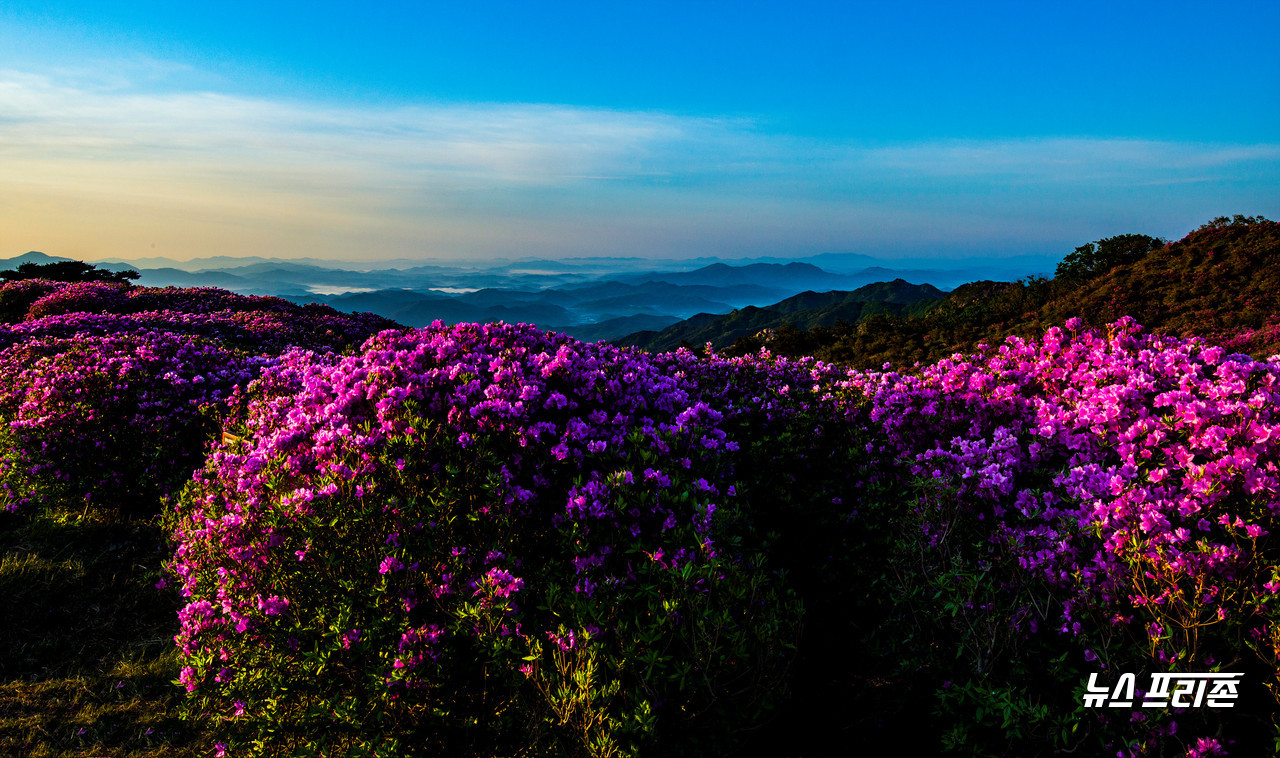 산그르메와 철쭉