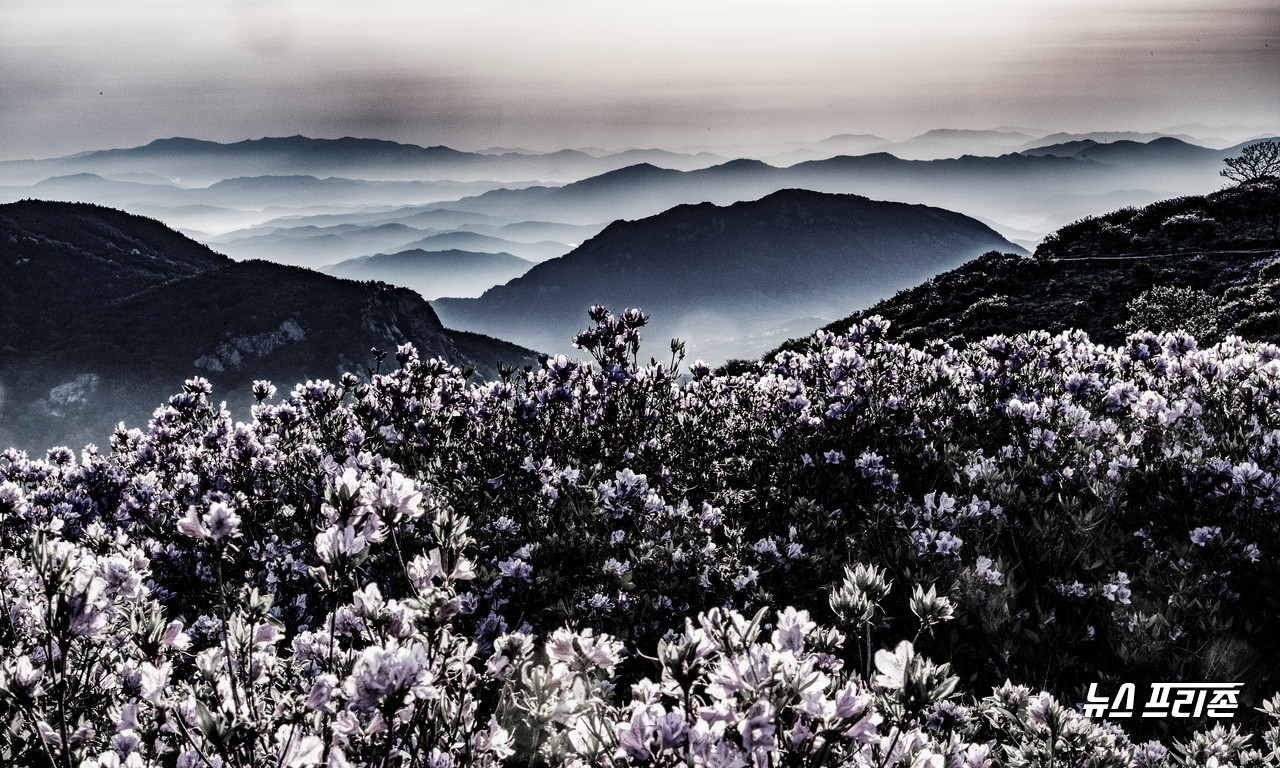 황매산과 지리산 산그르메