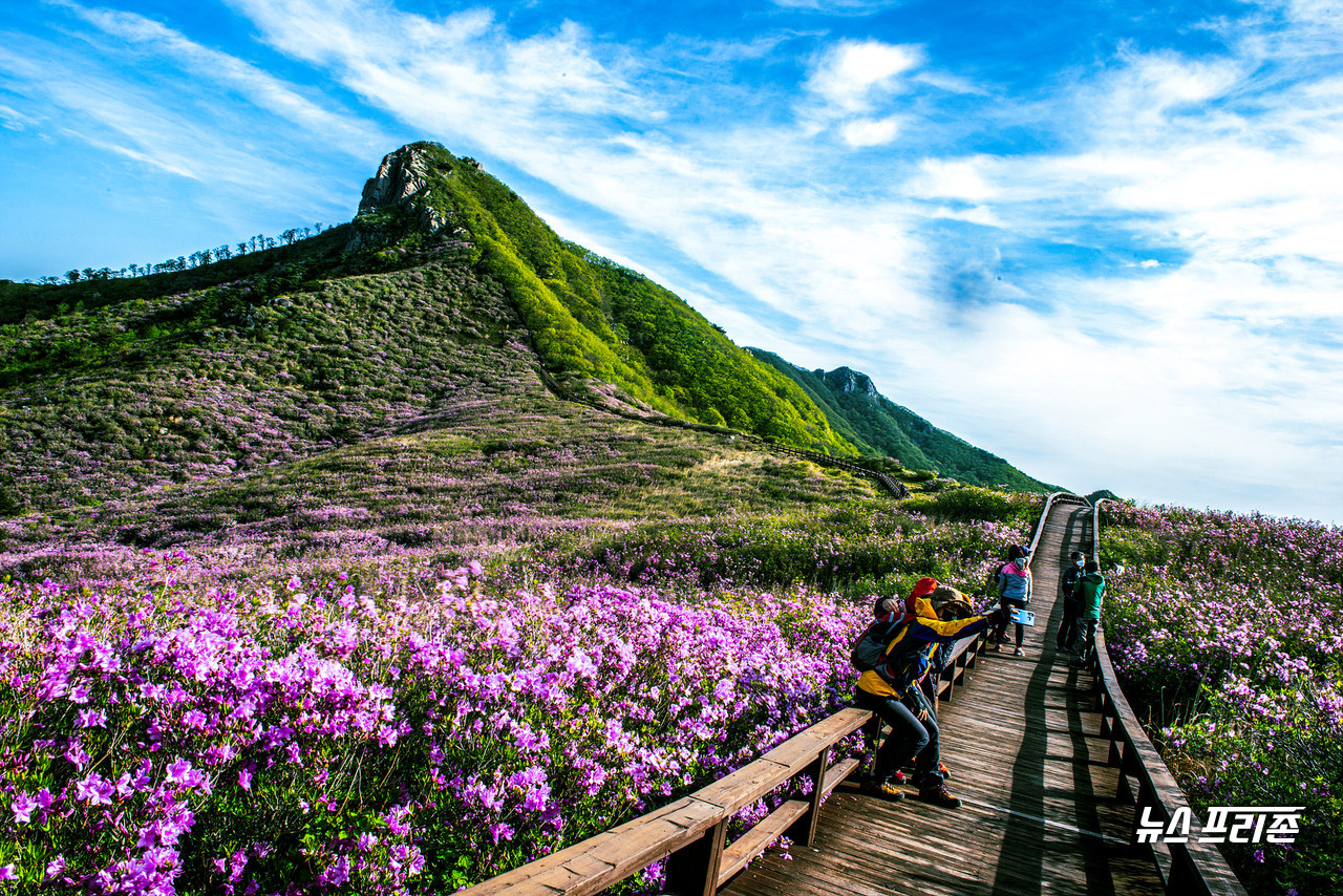 황매산 정상