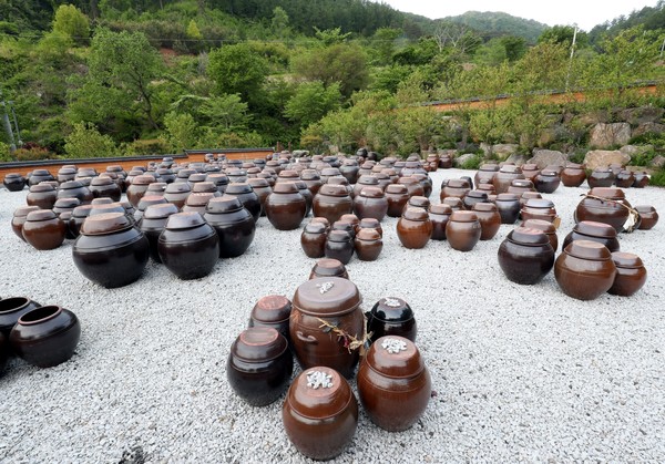 지리산천경원 장독 모습