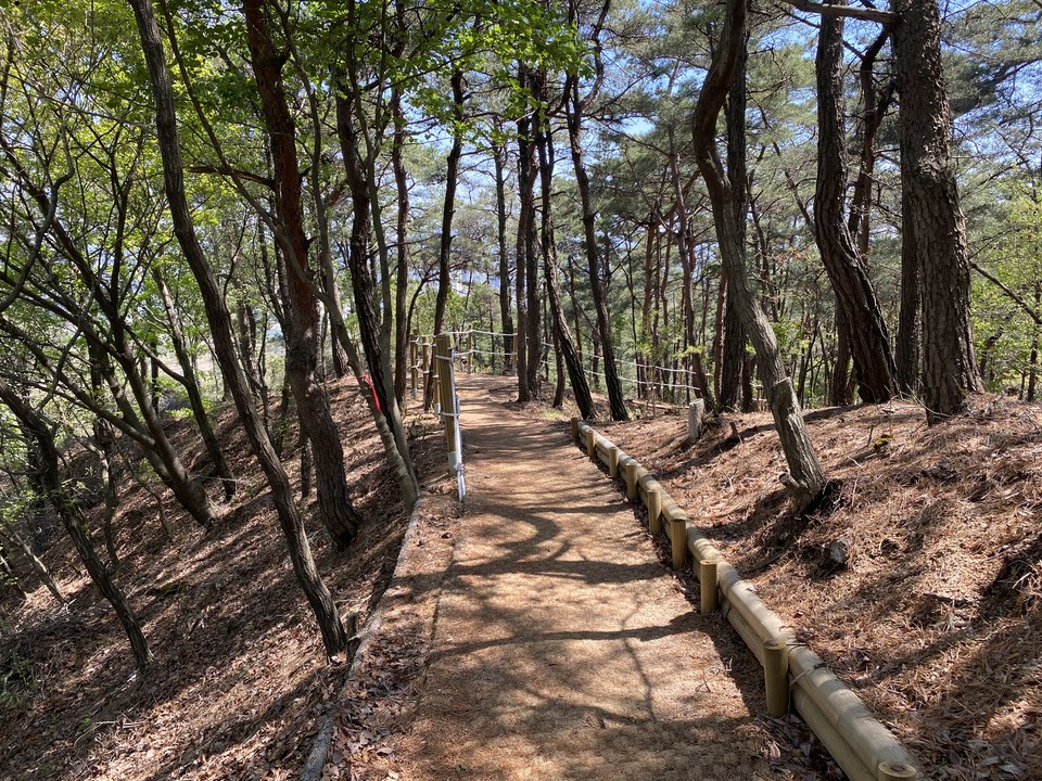 충남도가 오는 11월까지 528㎞에 달하는 도시생활권 등산로 정비에 나선다. 예산 수암산 등산로./ⓒ충남도청