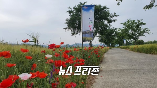 인기 산책로로 떠오르고 있는 밀양 초동면  연가길 ⓒ뉴스프리존DB