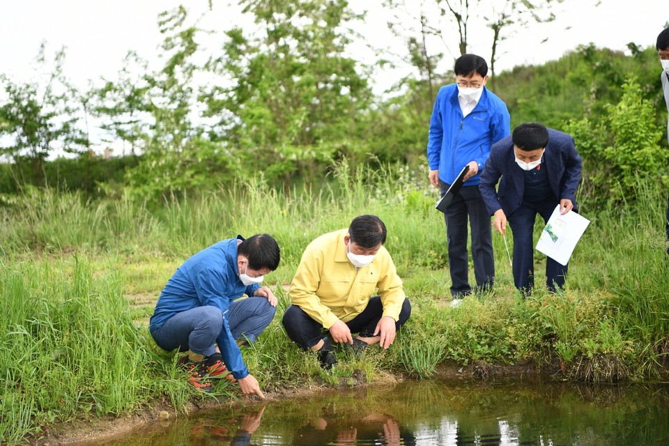 황선봉 군수가 두꺼비 서식지를 살펴보는 모습./ⓒ예산군청