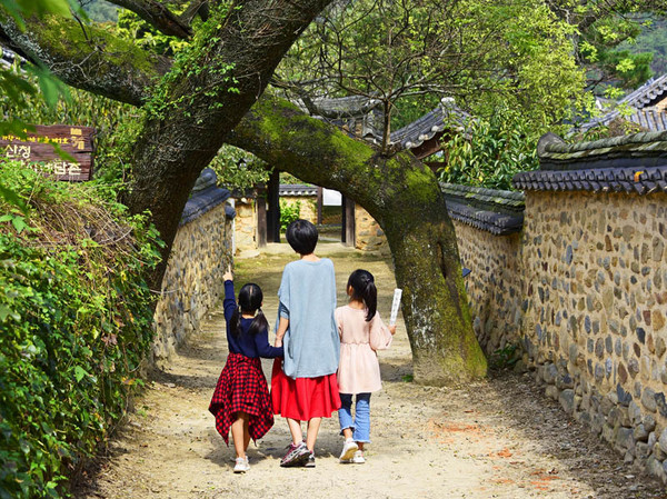 남사예담촌 부부회화나무 아름다운 길따라 ⓒ산청군