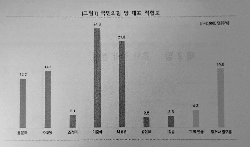 정치컨설팅전문업체 화성그룹과 전문여론조사기관 리서치케이의 국민의힘 당대표 적합도 여론조사 결과. ⓒ리서치케이 제공