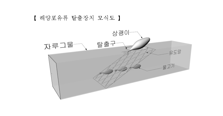 충남도는 25일 근해 및 연안에서의 안강망어업에 대해 상괭이 등 해양포유류 혼획 저감 어구 설치 비용을 100% 지원한다고 밝혔다./ⓒ충남도청