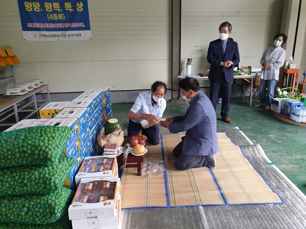 사천시 곤명농협동부지점 농산물선별장 매실초매식 ⓒ사천시