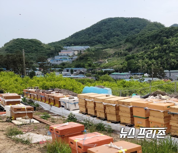 김해시,지속가능한 친환경 양봉산업 육성에 매진김해시