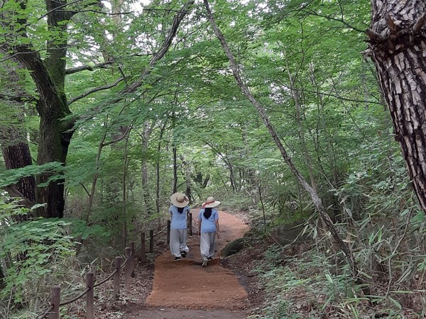 산청 문수암 템플스테이 바라보기 여행 프로그램    ⓒ산청군