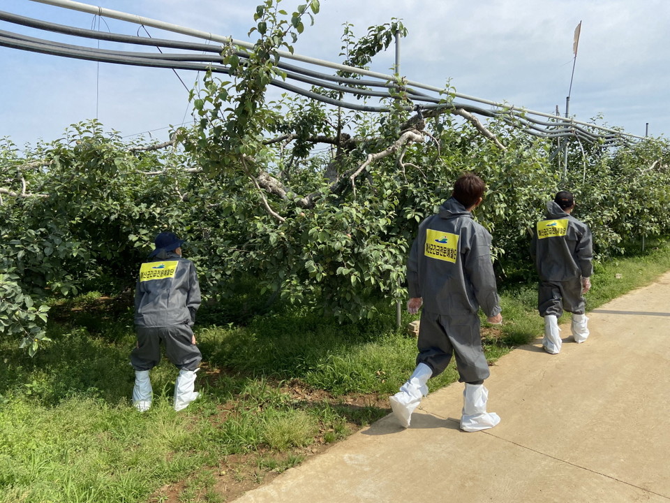 예산군농업기술센터가 긴급 전문 예찰단 구성 및 5차 방제약제 지원계획 등 선제적 대응 체계 구축에 나섰다./ⓒ예산군청