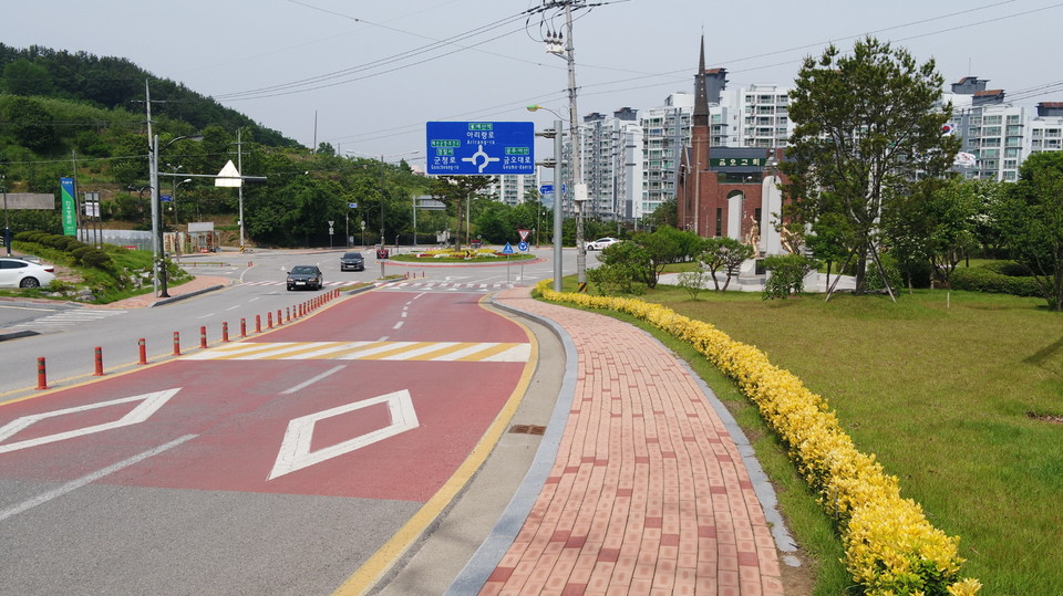 충남 예산군의 도로변에 식재된 황금사철나무가 관광객들의 관심을 사로잡고 있다./ⓒ예산군청