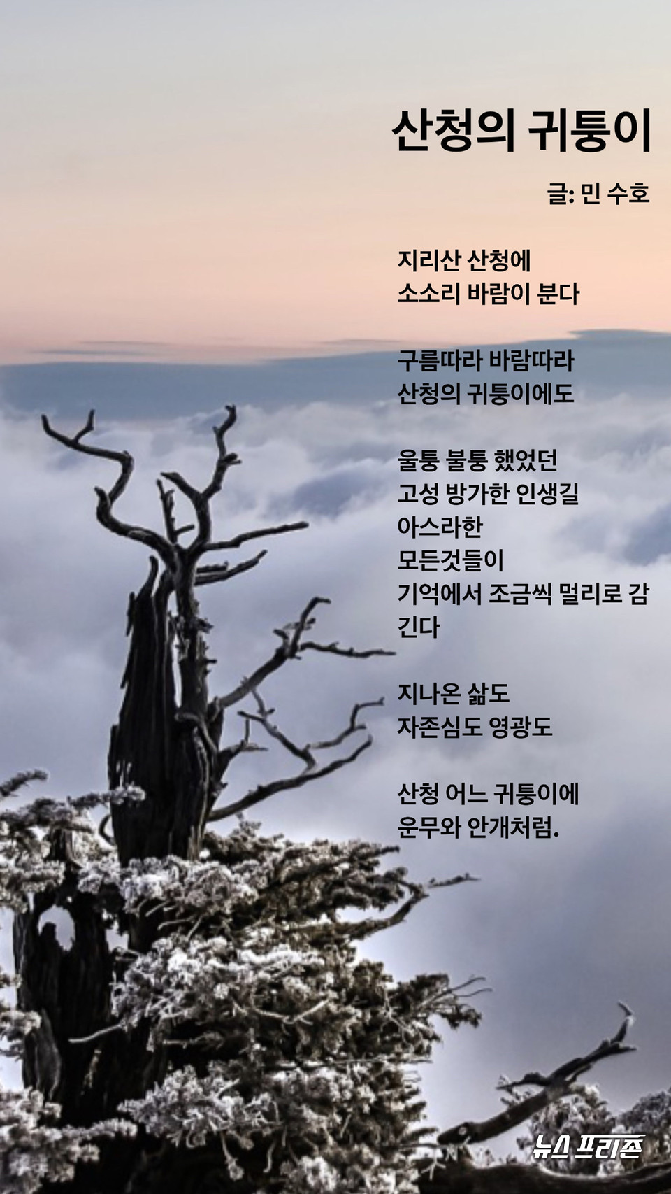 글. 민수호/ 시인 유족회 함양산청 전 수석부회장  ⓒ 사진=  뉴스프리존 허정태 기자