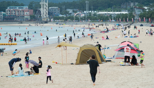 태안 만리포 해수욕장을 찾은 관광객들이 물놀이를 즐기고 있다./태안군청