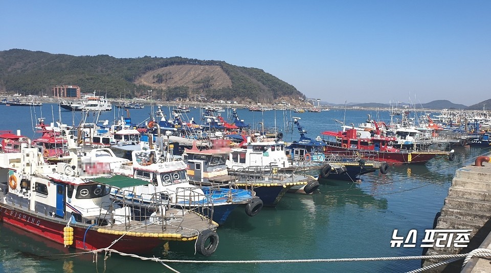 오천항에 정박 중인 낚시어선.Ⓒ보령해양경찰서