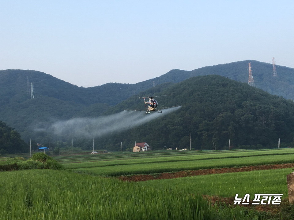 항공방제 장면.Ⓒ보령시청