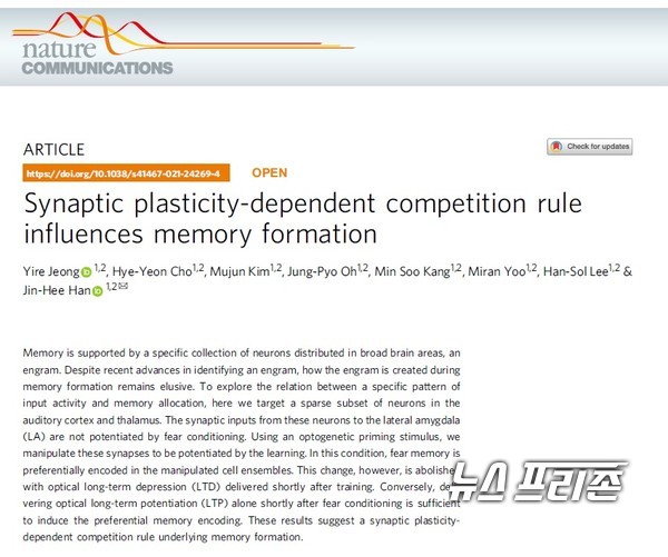 신경 네트워크에서 기억을 인코딩하는 뉴런이 선택되는 근본 원리를 규명한 카이스트 한진희 교수팀 등 국내연구는 네이처 커뮤니케이션즈(Nature Communications)에 6월 24일 게재됐다./ⓒ네이처 커뮤니케이션즈·카이스트 한진희 교수팀