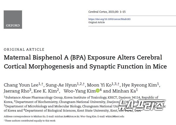 비스페놀A(Bisphenol A, BPA)에 노출되었을 때 태아의 뇌 발달 단계에서 신경세포의 생성 및 기능에 독성 영향으로 행동장애까지 유발할 수 있음을 확인한 안전성평가연구소(KIT) 약리중독성연구그룹 연구는 인지뇌과학 분야 상위 10% 이내 권위지인 대뇌피질(Cerebral Cortex)에 6월 게재됐다./ⓒ대뇌피질·KIT