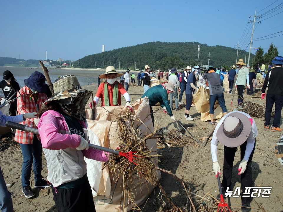 해양쓰레기 수거장면.Ⓒ서천군청