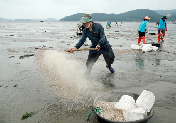 태안군이 근흥면 마금리 인근 해역에 게르마늄을 살포하고 있다./ⓒ태안군청