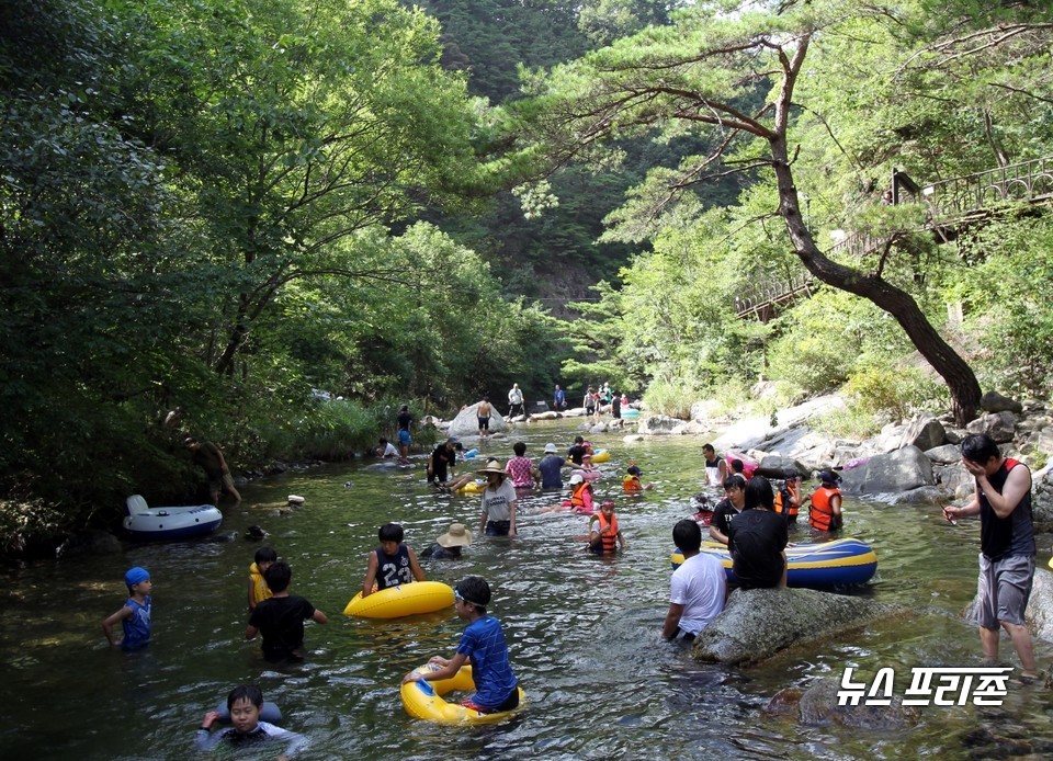 단양 남천계곡 모습.(사진제공=단양군)