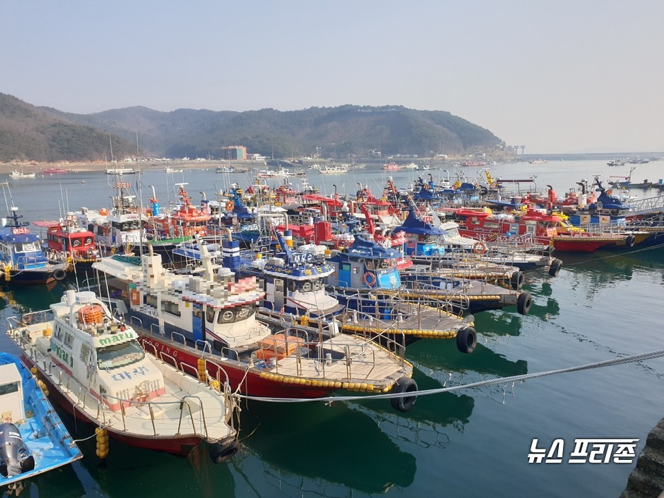 오천항에 정박 중인 낚시어선.Ⓒ보령해양경찰서